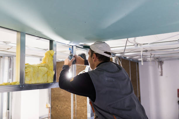 Best Blown-in Insulation in Brookneal, VA