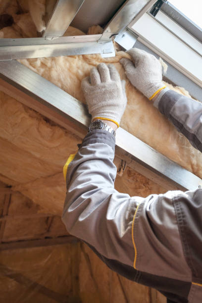 Best Commercial Insulation in Brookneal, VA
