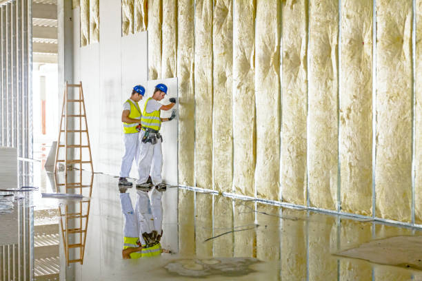 Best Residential Insulation in Brookneal, VA